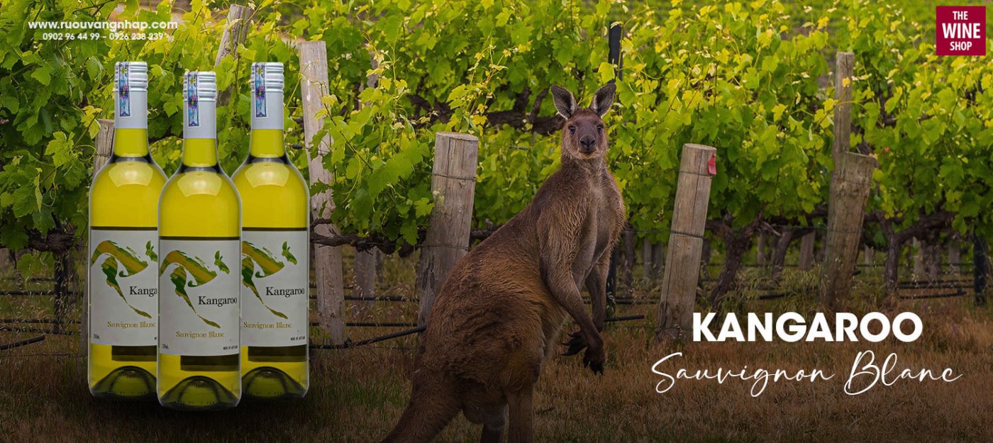 Kangaroo Sauvignon Blanc là dòng vang trắng có nguồn gốc từ Australia