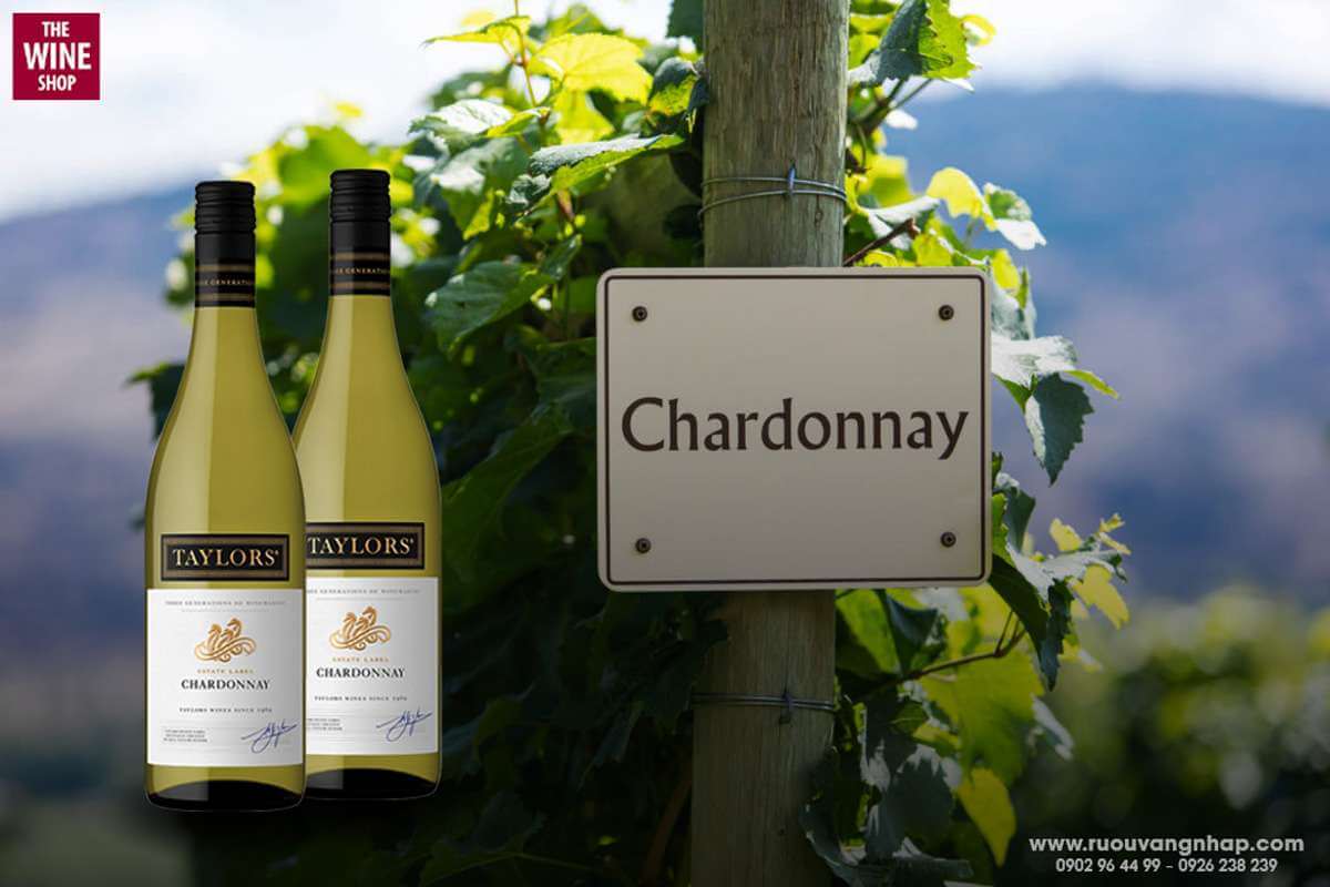 Rượu vang Taylors Estate Chardonnay được sản xuất bởi nhà vang Taylors Wine miền Nam nước Úc