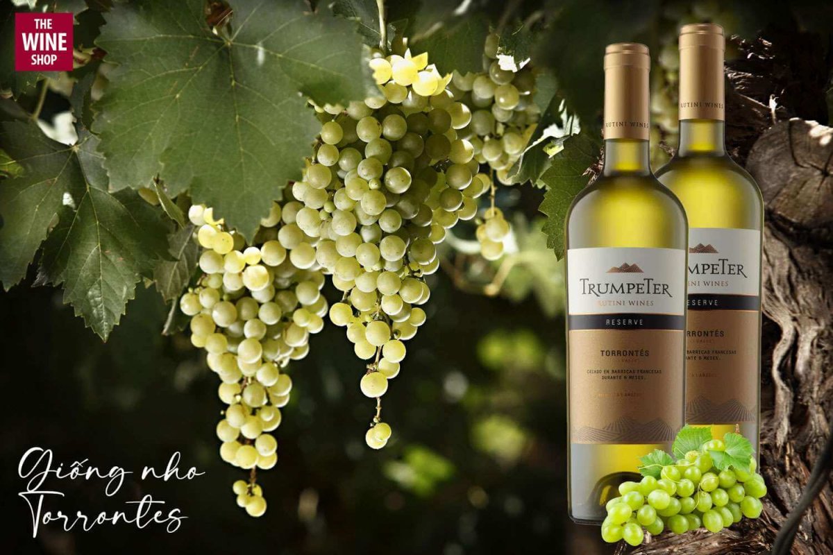 Nguồn gốc xuất xứ của rượu vang Trumpeter Reserve Torrontes là từ Argentina