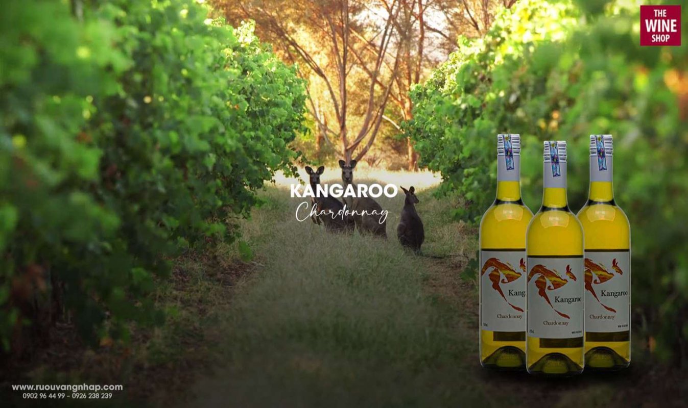 Rượu vang Kangaroo Chardonnay có nguồn gốc xuất xứ từ vùng vang miền Đông Nam nước Úc