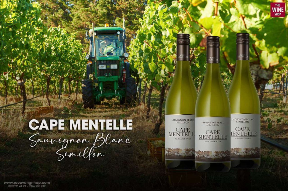 Cape Mentelle Sauvignon Blanc Semillon là dòng vang trắng đặc trưng với hương thơm mạnh mẽ, chất vị đậm đà