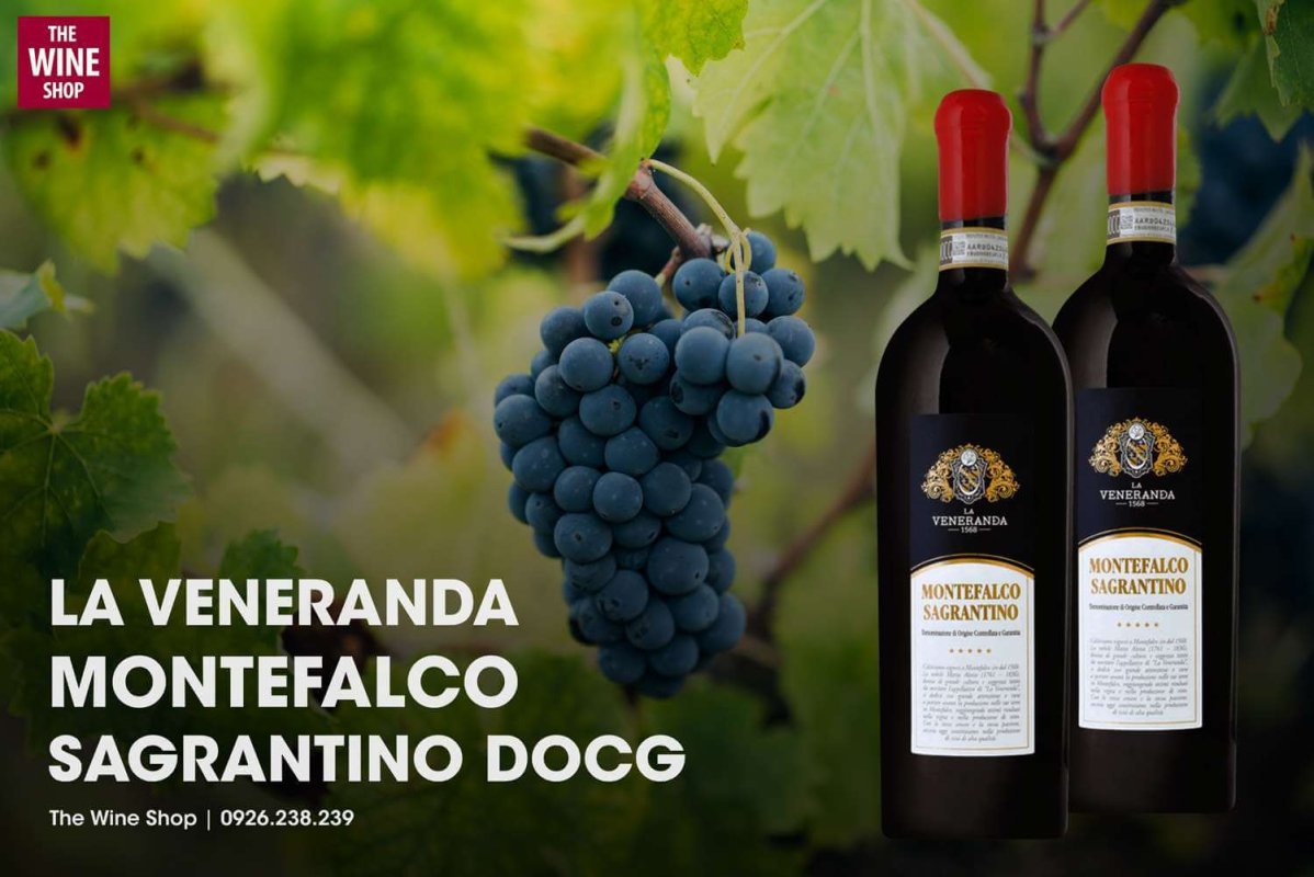 Rượu vang La Veneranda Montefalco Sagrantino Docg có nguồn gốc xuất xứ từ vùng Montefalco nước Ý