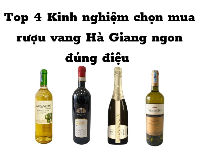Rượu vang The Wine Shop tại Hà Giang