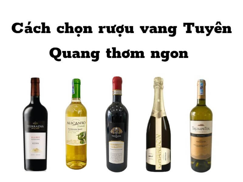 Rượu vang The Wine Shop tại Tuyên Quang