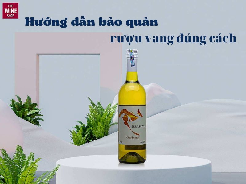 Hướng dẫn bảo quản rượu vang đúng cách