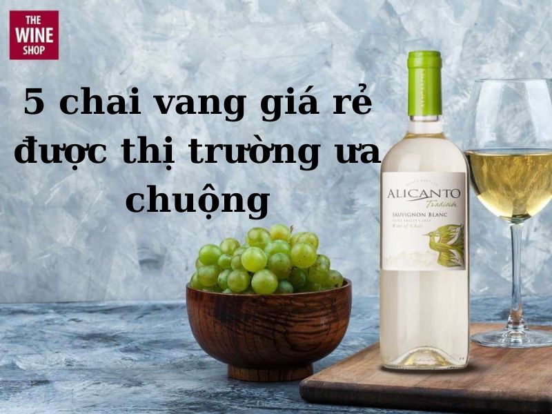 List 5 chai rượu vang giá rẻ được ưa chuộng tại thị trường Việt Nam