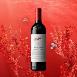 PENFOLDS Bin 389 Cabernet Shiraz