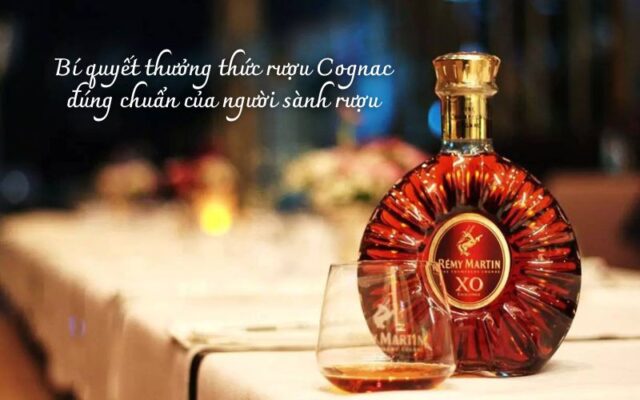 Cách thưởng thức rượu Cognac đúng chuẩn người sành rượu