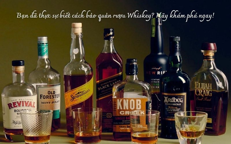 Bạn đã thực sự biết cách bảo quản rượu Whiskey?