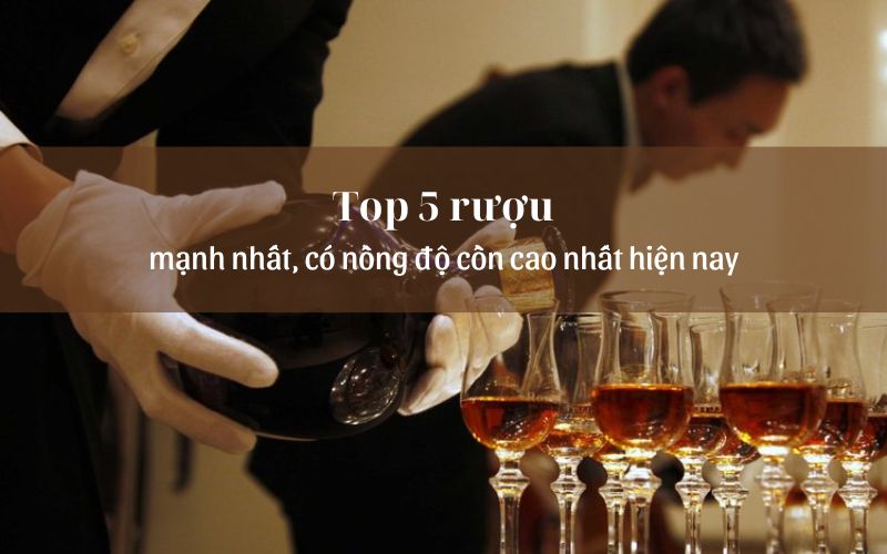 Top 5 rượu mạnh nhất, có nồng độ cồn cao nhất hiện nay