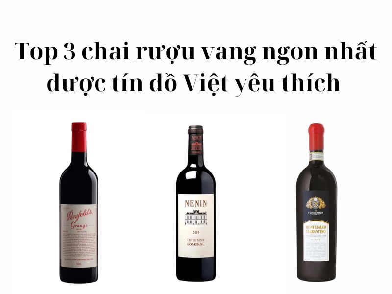 Top 3 chai rượu vang được người Việt yêu thích