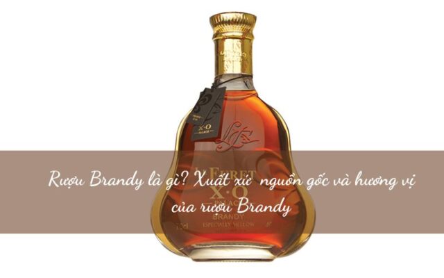 Rượu Brandy là gì? Nguồn gốc xuất xứ và hương vị của Brandy