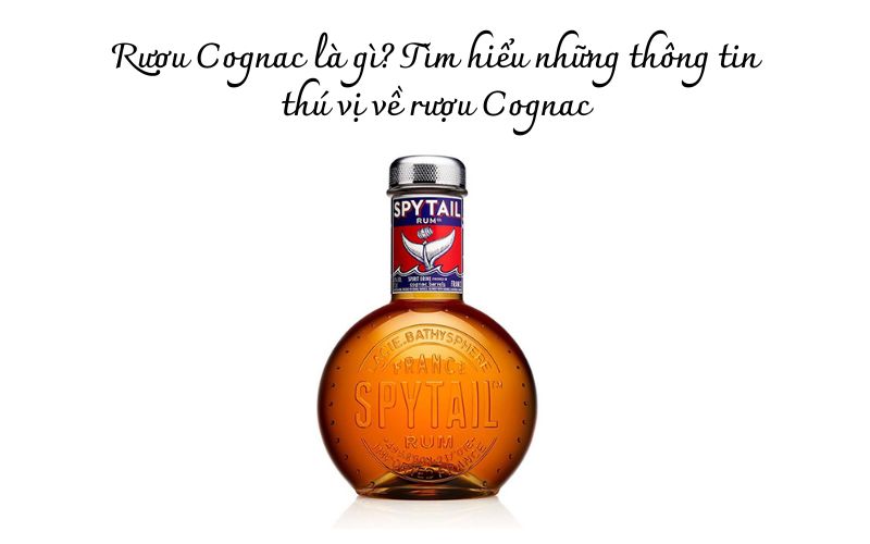 Rượu Cognac Là Gì? Thông Tin Thú Vị Về Rượu Cognac