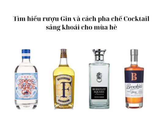 Rượu Gin là gì? Cách pha chế Cocktail ngon cho mùa hè