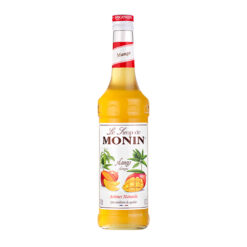 MONIN Mango - Xoài