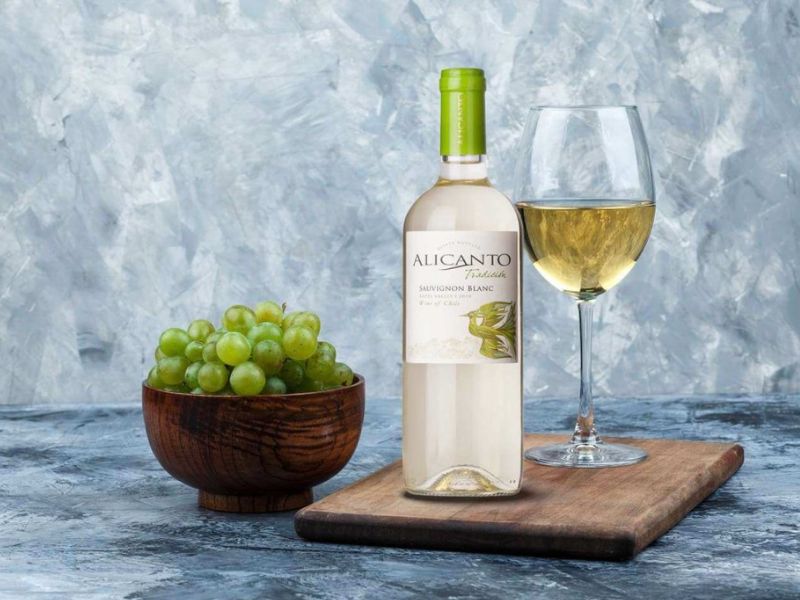 Alicanto Tradicion Sauvignon Blanc sở hữu đặc tính từ chất men vùng Valle de Rapel