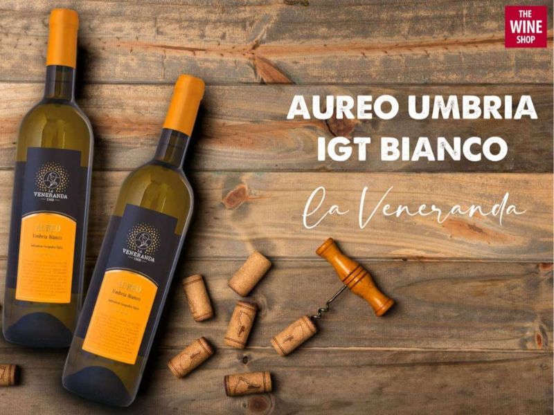 LA VENERANDA Aureo Umbria IGT Bianco là dòng vang trắng hiếm hoi của nhãn hiệu La Veneranda