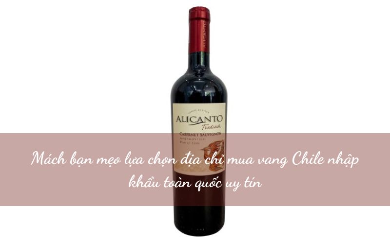 Địa chỉ mua vang Chile nhập khẩu toàn quốc