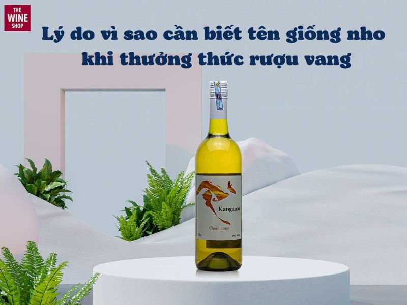 Tại sao ta cần biết tên nho khi uống rượu vang