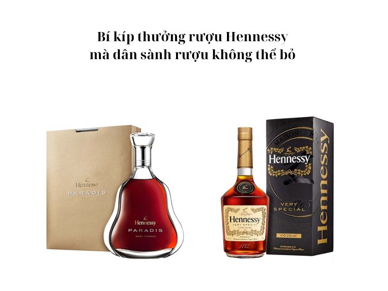 Cách uống rượu Hennessy chuẩn nhất theo từng nguyên tắc