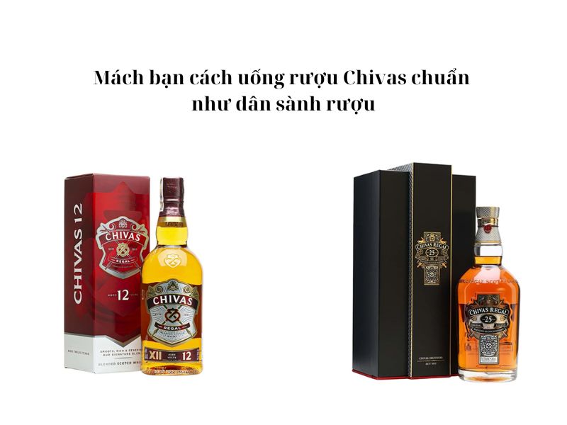 Gợi ý cách uống rượu Chivas như một tín đồ sành rượu thực thụ