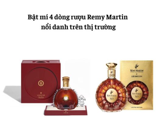 Khám phá các dòng rượu Remy Martin lừng lẫy trên thị trường