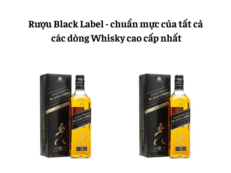 Rượu Black Label - Đỉnh cao rượu mạnh thượng hạng